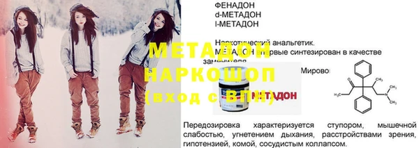 прущие грибы Лабытнанги