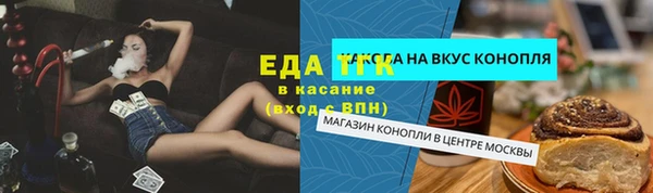 прущие грибы Лабытнанги