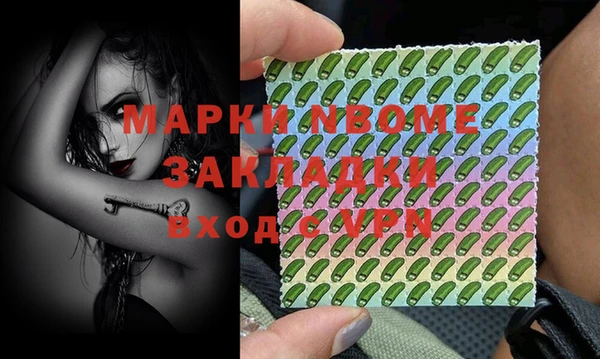 прущие грибы Лабытнанги