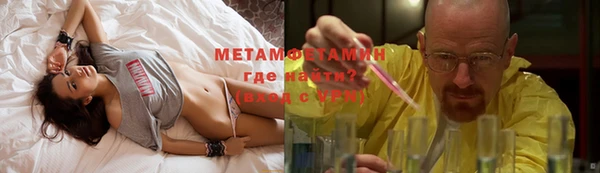 прущие грибы Лабытнанги