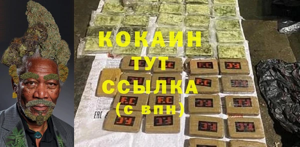 прущие грибы Лабытнанги