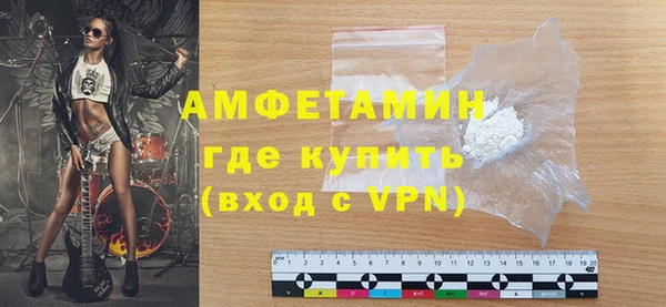 прущие грибы Лабытнанги