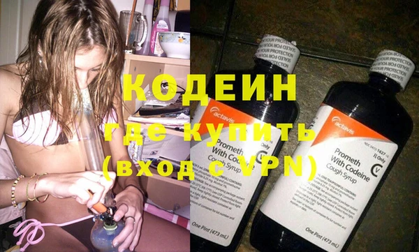 прущие грибы Лабытнанги