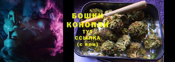прущие грибы Лабытнанги