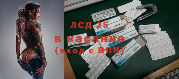 прущие грибы Лабытнанги