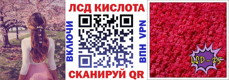 наркотики  Болохово  Наркотические марки 1500мкг 