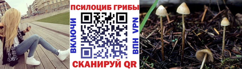 Галлюциногенные грибы Magic Shrooms  Болохово 